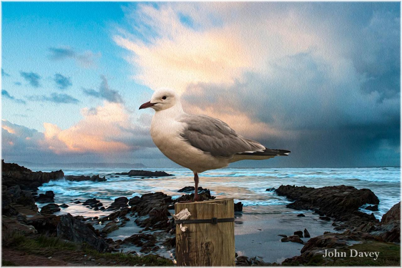 Twentyfour 17 Inn Hermanus Exteriér fotografie